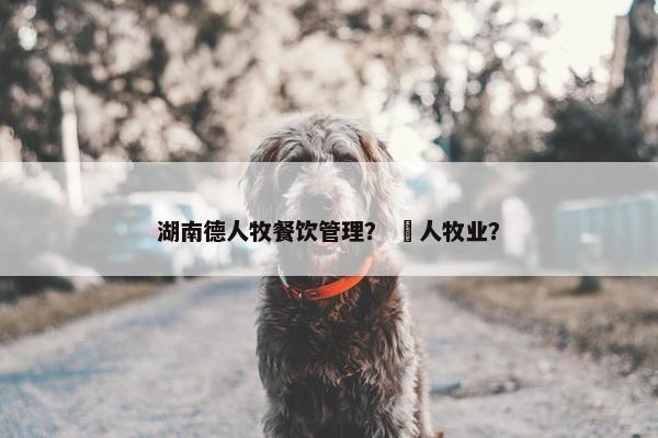 湖南德人牧餐饮管理？ 徳人牧业？