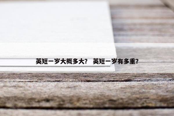 英短一岁大概多大？ 英短一岁有多重？
