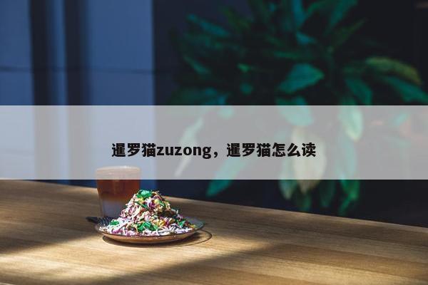 暹罗猫zuzong，暹罗猫怎么读