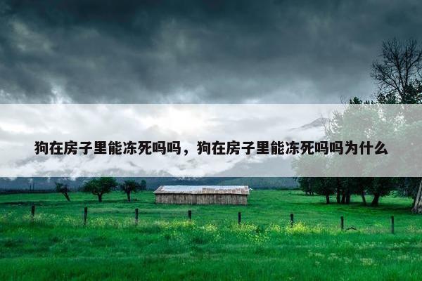 狗在房子里能冻死吗吗，狗在房子里能冻死吗吗为什么