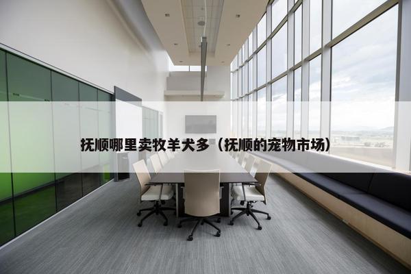 抚顺哪里卖牧羊犬多（抚顺的宠物市场）