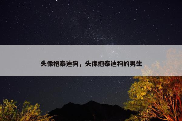 头像抱泰迪狗，头像抱泰迪狗的男生