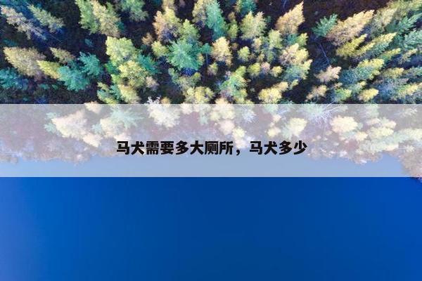 马犬需要多大厕所，马犬多少