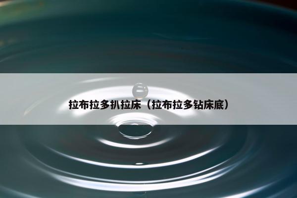 拉布拉多扒拉床（拉布拉多钻床底）