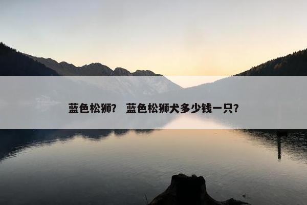 蓝色松狮？ 蓝色松狮犬多少钱一只？