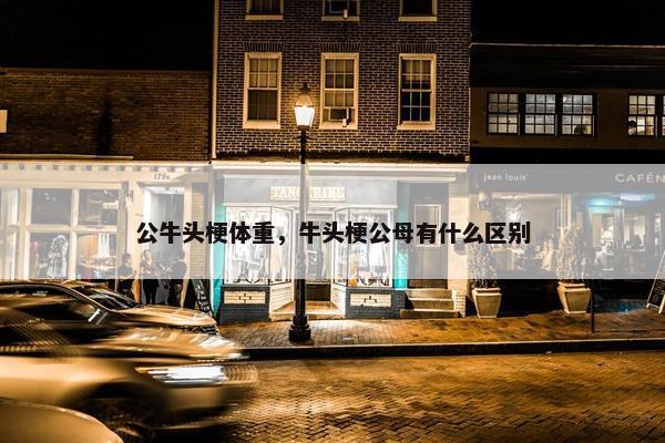 公牛头梗体重，牛头梗公母有什么区别