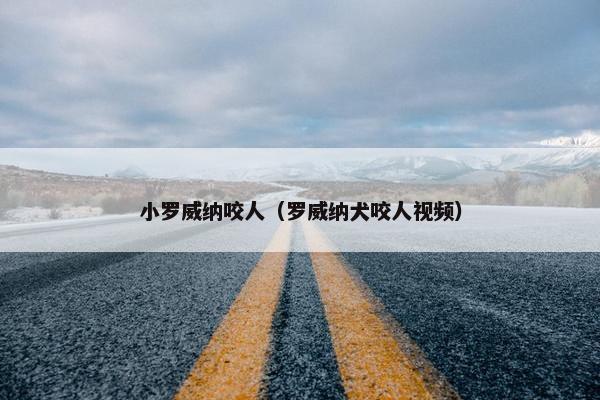 小罗威纳咬人（罗威纳犬咬人视频）