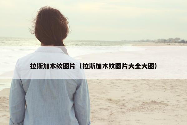 阿拉斯加 第9页