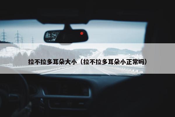 大小