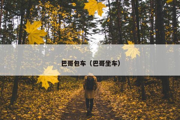 巴哥 第7页