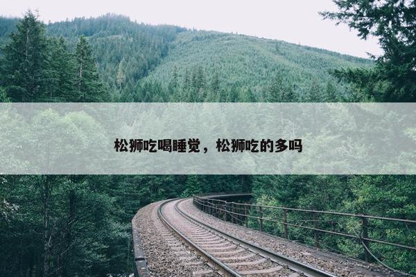 松狮 第8页