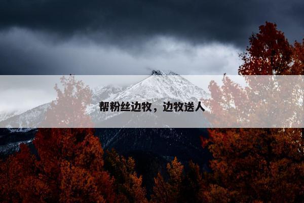帮粉丝边牧，边牧送人