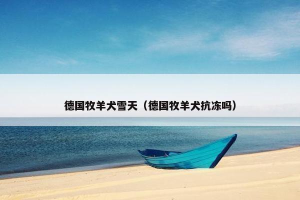 德国牧羊犬雪天（德国牧羊犬抗冻吗）