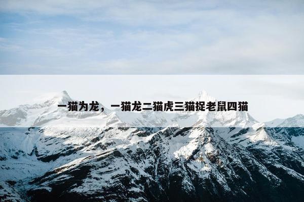 龙猫 第8页