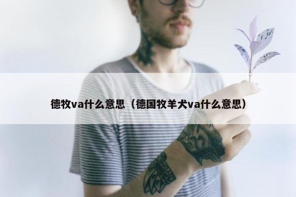 德牧va什么意思（德国牧羊犬va什么意思）