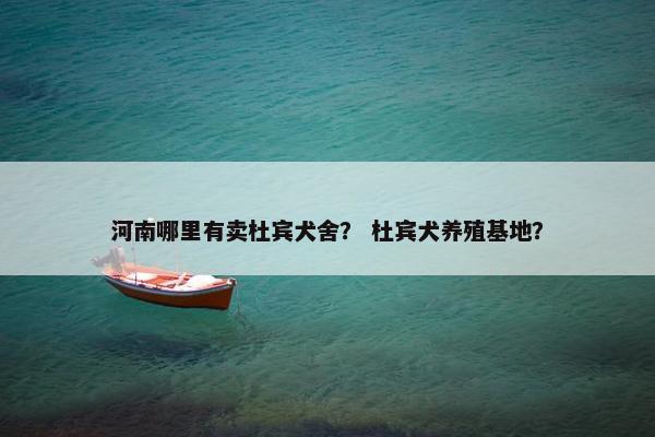 河南哪里有卖杜宾犬舍？ 杜宾犬养殖基地？