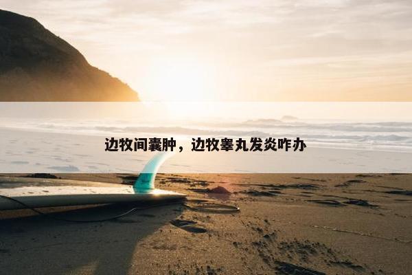 边牧间囊肿，边牧睾丸发炎咋办