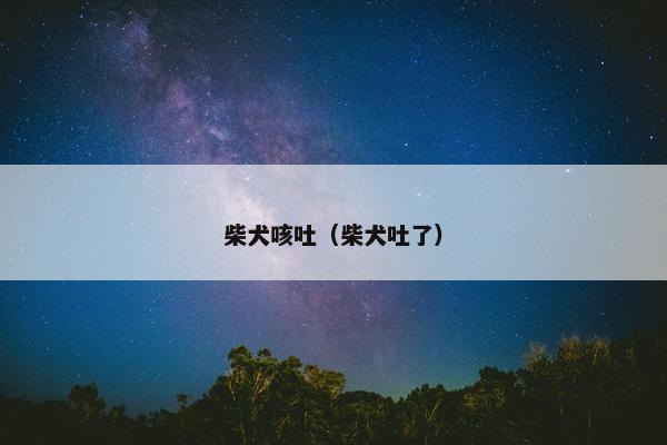 柴犬咳吐（柴犬吐了）