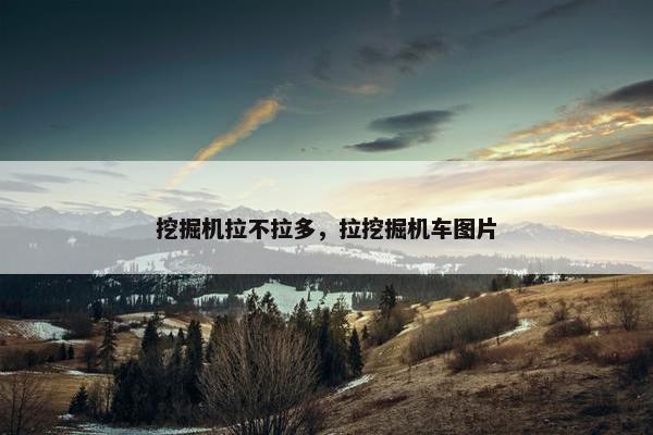 挖掘机拉不拉多，拉挖掘机车图片