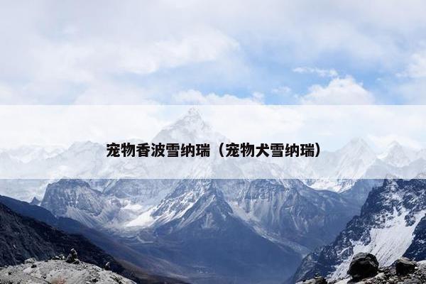 皮屑