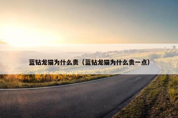 蓝钻龙猫为什么贵（蓝钻龙猫为什么贵一点）
