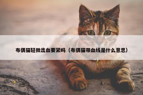 出血