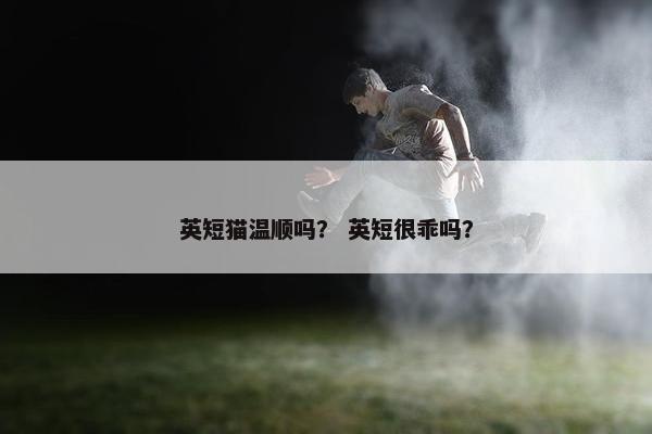 英短猫温顺吗？ 英短很乖吗？