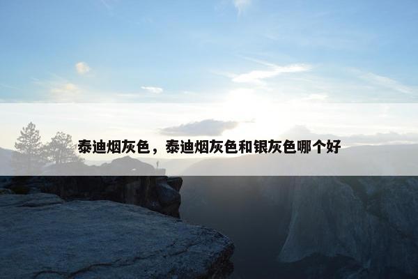 泰迪烟灰色，泰迪烟灰色和银灰色哪个好
