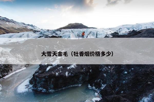大雪天金毛（牡香烟价格多少）