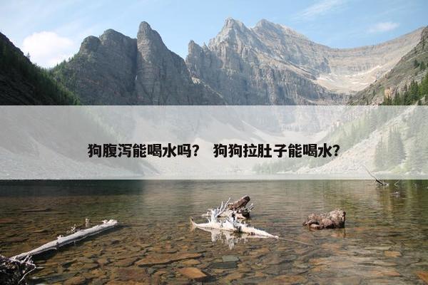 狗腹泻能喝水吗？ 狗狗拉肚子能喝水？