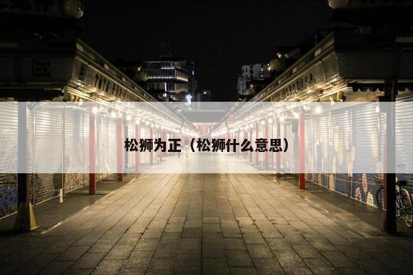 松狮为正（松狮什么意思）