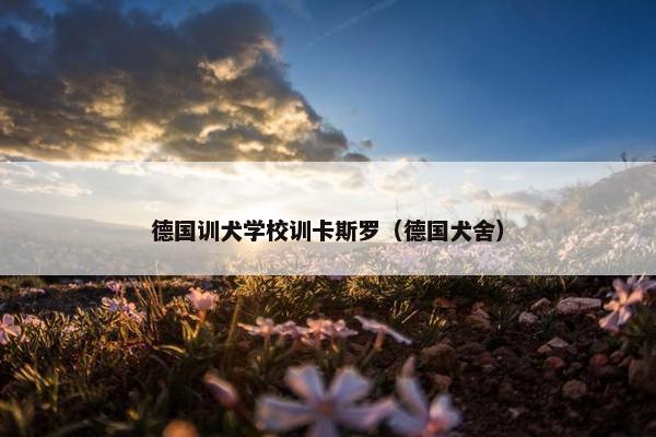 卡斯罗 第7页