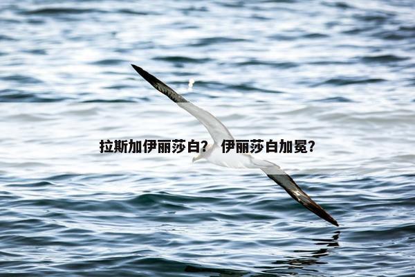 拉斯加伊丽莎白？ 伊丽莎白加冕？