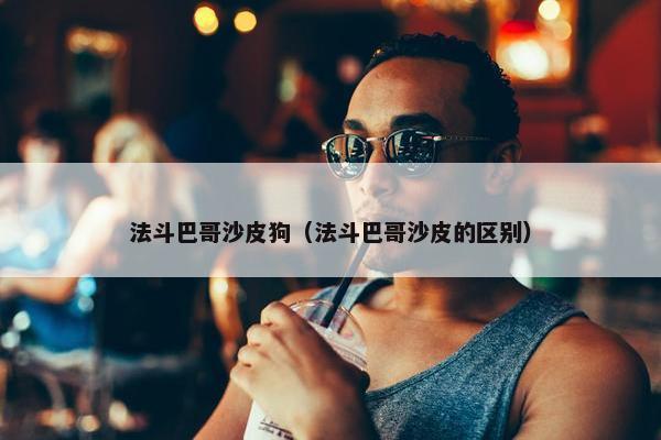 法斗巴哥沙皮狗（法斗巴哥沙皮的区别）