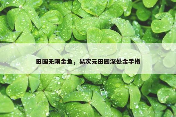 田园无限金鱼，易次元田园深处金手指