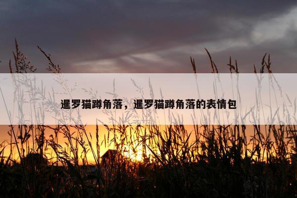 暹罗猫蹲角落，暹罗猫蹲角落的表情包