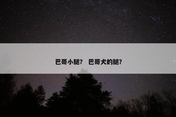 巴哥小腿？ 巴哥犬的腿？