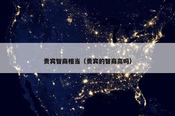 贵宾智商相当（贵宾的智商高吗）