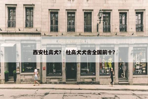 西安杜高犬？ 杜高犬犬舍全国前十？