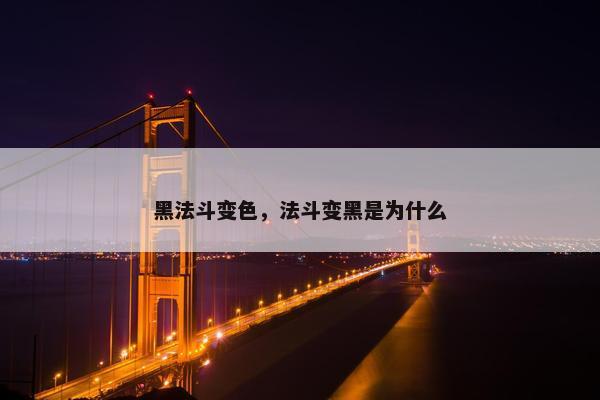 法斗 第8页