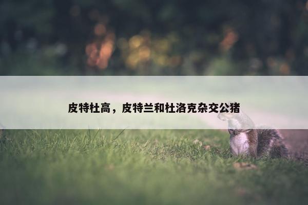 利顿