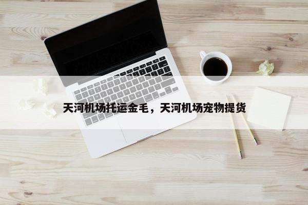 金毛 第10页
