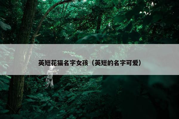英短 第8页