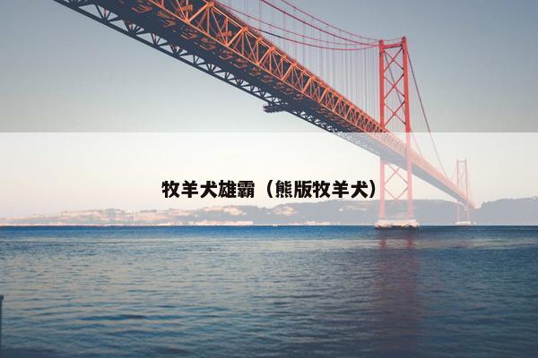 张国荣