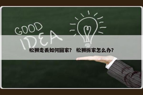 松狮走丢如何回家？ 松狮拆家怎么办？