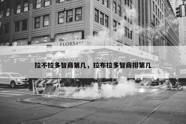 拉不拉多智商第几，拉布拉多智商排第几