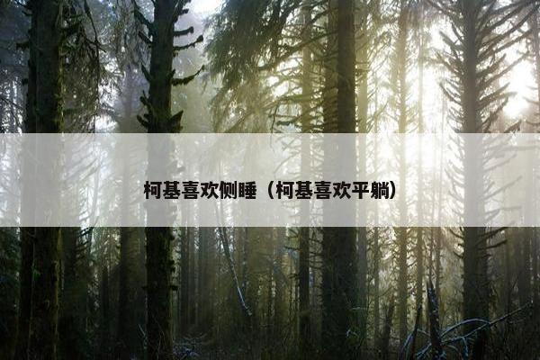 睡觉