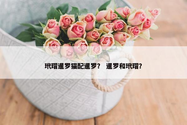 暹罗猫 第7页