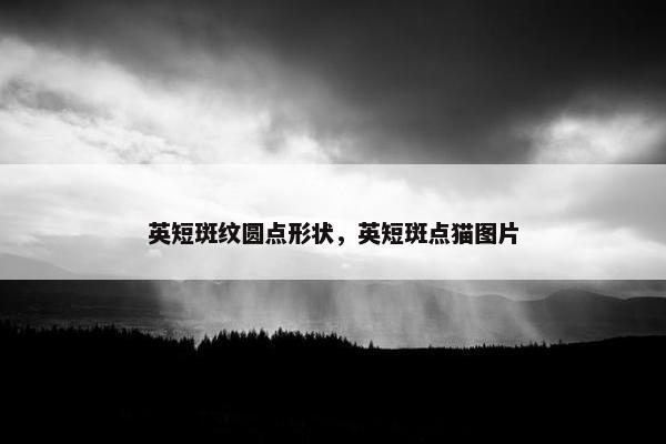 英短斑纹圆点形状，英短斑点猫图片