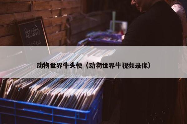 牛头梗 第6页
